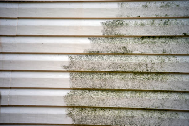 Best Historical Building Siding Restoration  in Rose Hill, VA