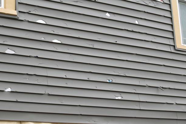 Best Weatherproofing and Sealing  in Rose Hill, VA